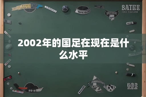 2002年的国足在现在是什么水平