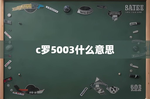 c罗5003什么意思