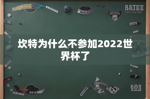 坎特为什么不参加2022世界杯了