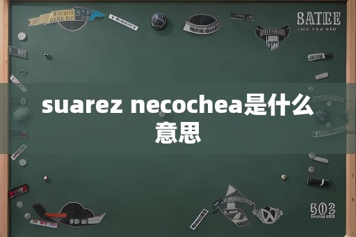 suarez necochea是什么意思