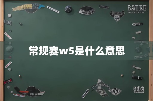 常规赛w5是什么意思