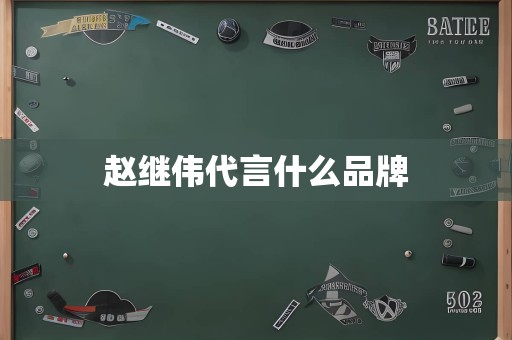 赵继伟代言什么品牌