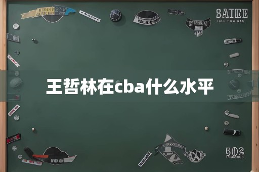 王哲林在cba什么水平