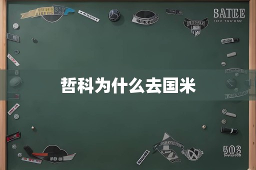哲科为什么去国米