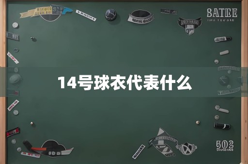 14号球衣代表什么