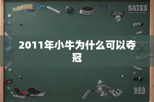 2011年小牛为什么可以夺冠