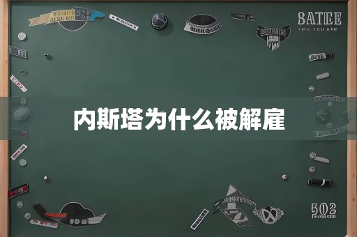 内斯塔为什么被解雇