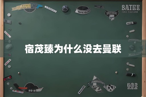 宿茂臻为什么没去曼联