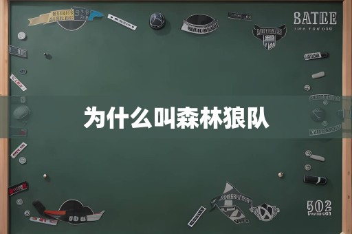 为什么叫森林狼队
