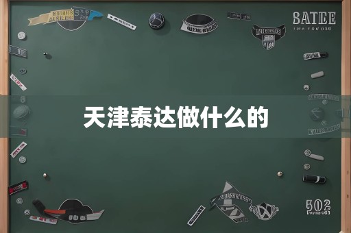 天津泰达做什么的