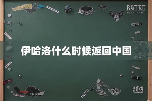伊哈洛什么时候返回中国