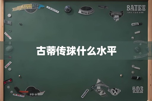 古蒂传球什么水平