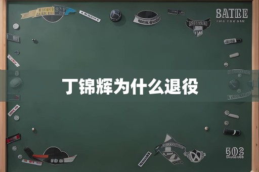 丁锦辉为什么退役