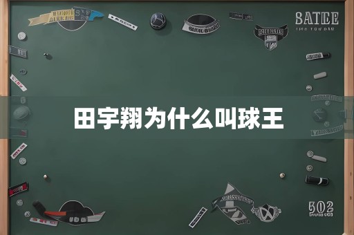 田宇翔为什么叫球王