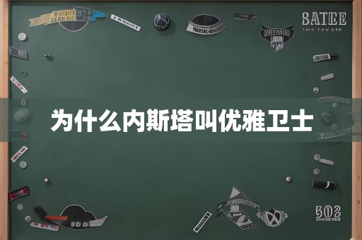 为什么内斯塔叫优雅卫士