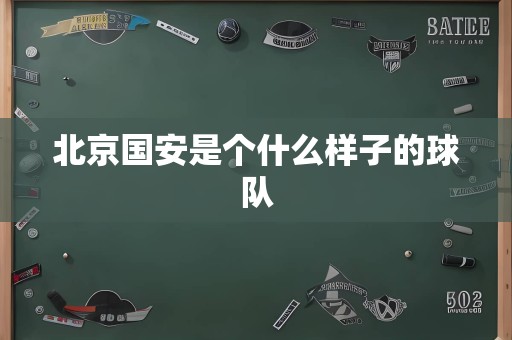 北京国安是个什么样子的球队