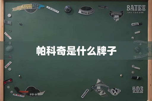 帕科奇是什么牌子