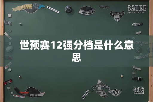 世预赛12强分档是什么意思