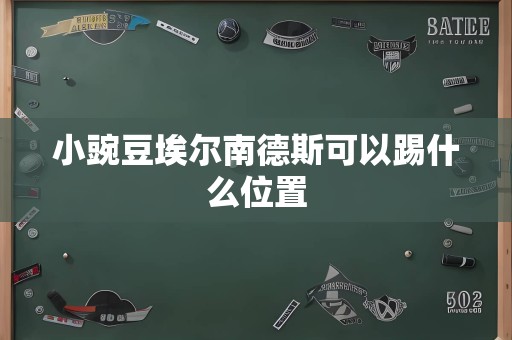 小豌豆埃尔南德斯可以踢什么位置