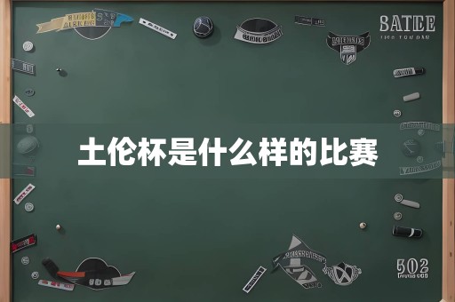 土伦杯是什么样的比赛