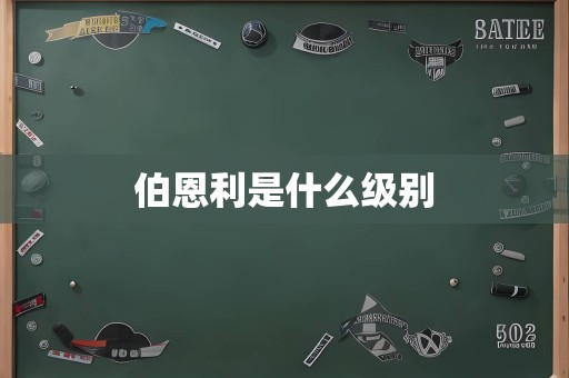 伯恩利是什么级别