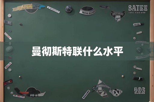 曼彻斯特联什么水平