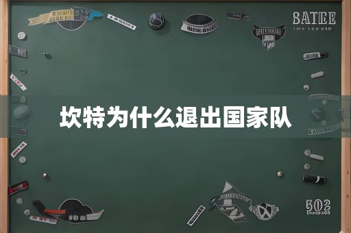 坎特为什么退出国家队