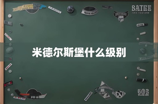 米德尔斯堡什么级别