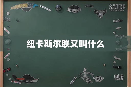 纽卡斯尔联又叫什么