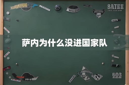 萨内为什么没进国家队