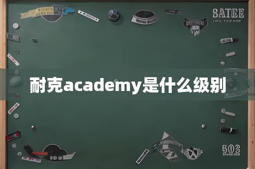 耐克academy是什么级别