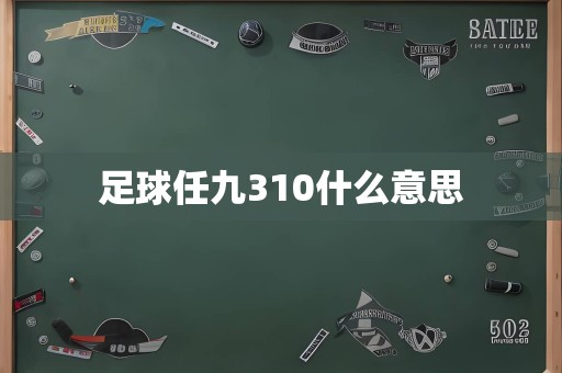 足球任九310什么意思