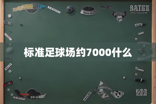 标准足球场约7000什么