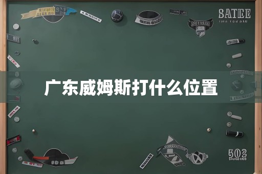 广东威姆斯打什么位置