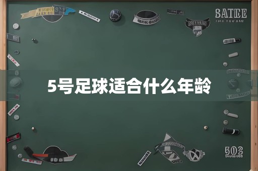 5号足球适合什么年龄