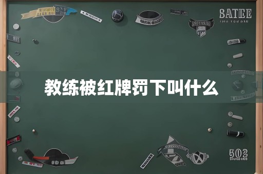 教练被红牌罚下叫什么