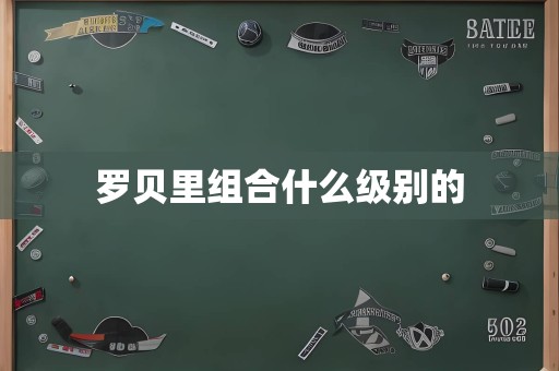 罗贝里组合什么级别的