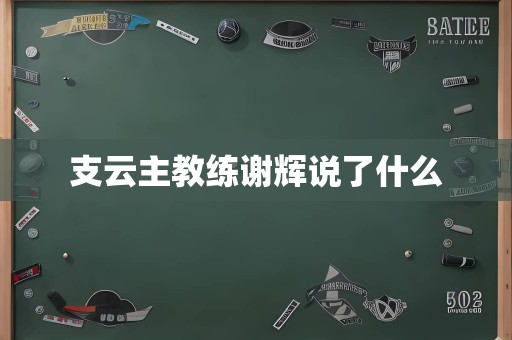 支云主教练谢辉说了什么