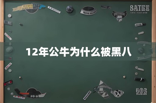 12年公牛为什么被黑八