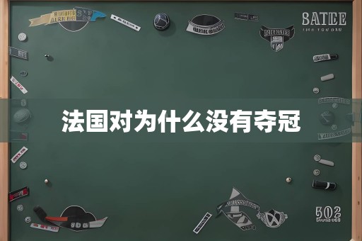 法国对为什么没有夺冠