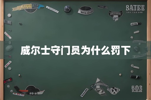 威尔士守门员为什么罚下