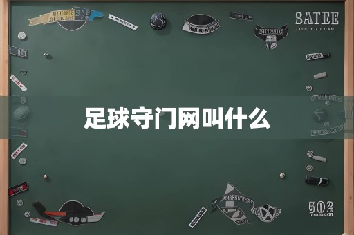 足球守门网叫什么