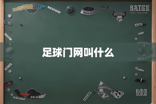 足球门网叫什么