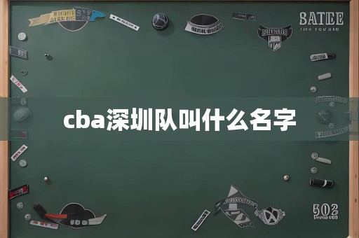 cba深圳队叫什么名字