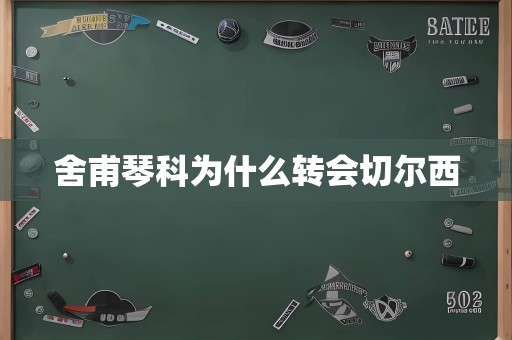 舍甫琴科为什么转会切尔西
