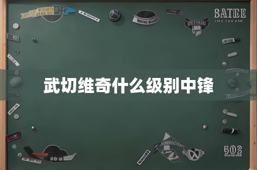 武切维奇什么级别中锋