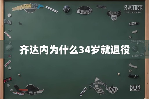 齐达内为什么34岁就退役