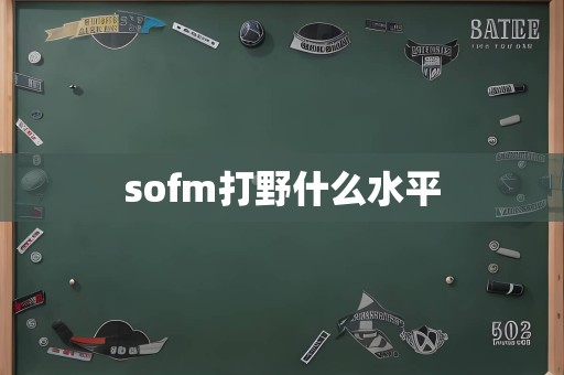 sofm打野什么水平