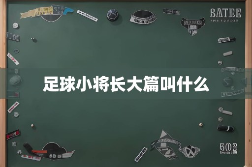 足球小将长大篇叫什么