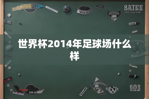 世界杯2014年足球场什么样